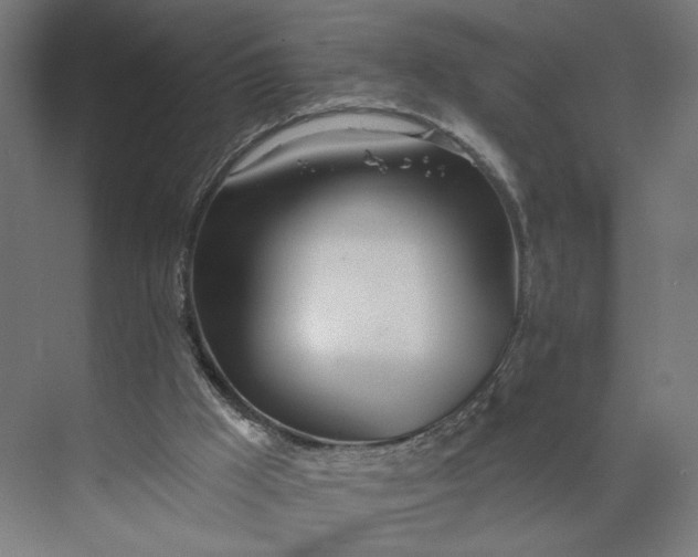 X0000073950009200609051805