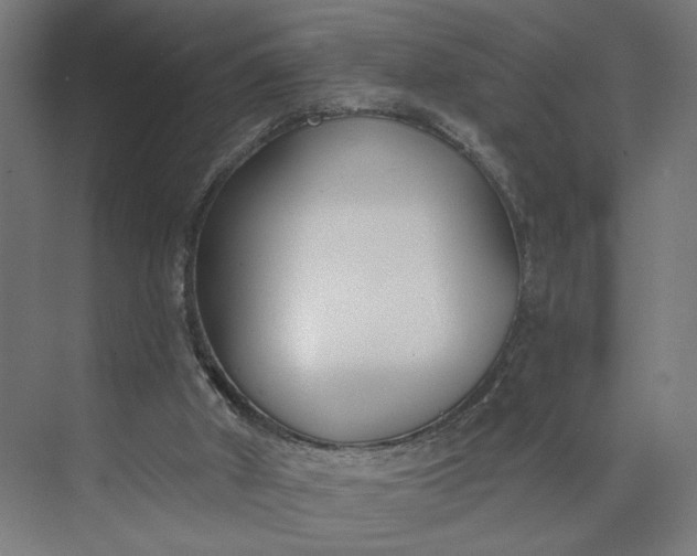 X0000073950010200609051805