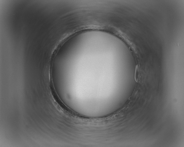 X0000073950011200609051804