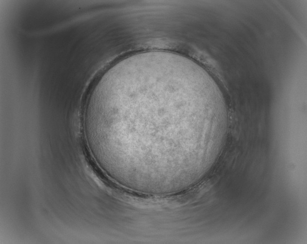 X0000073950012200609051804