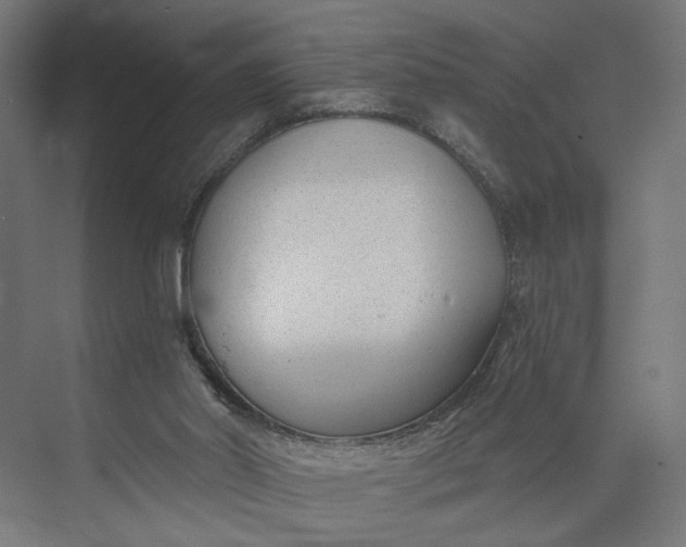 X0000073950014200609051804