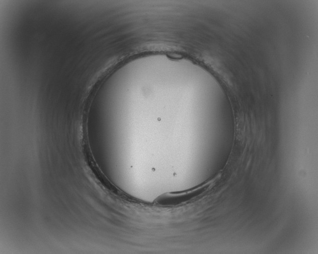 X0000073950015200609051804