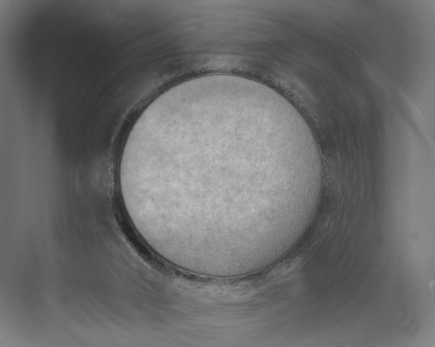 X0000073950016200609051804