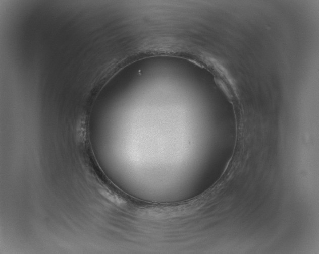 X0000073950017200609051804