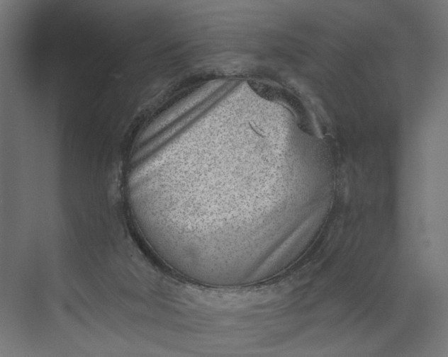 X0000073950018200609051804