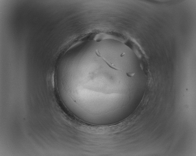 X0000073950019200609051804