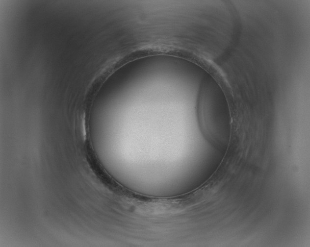 X0000073950020200609051804