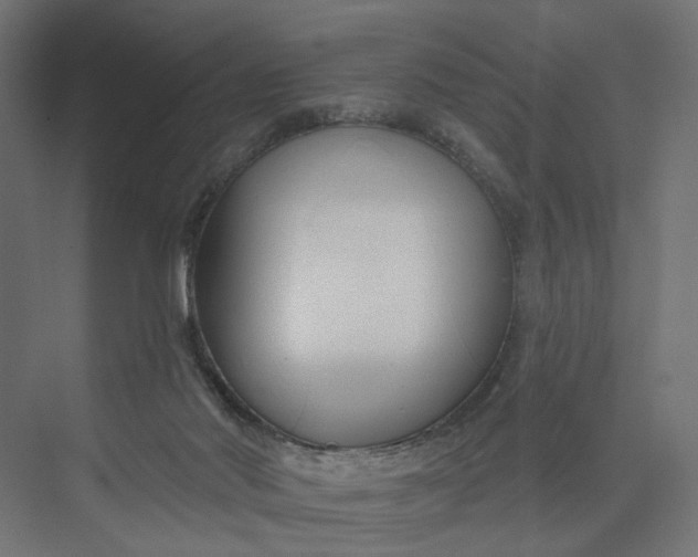 X0000073950022200609051804