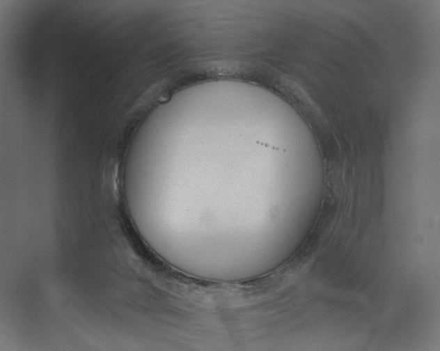 X0000073950024200609051804