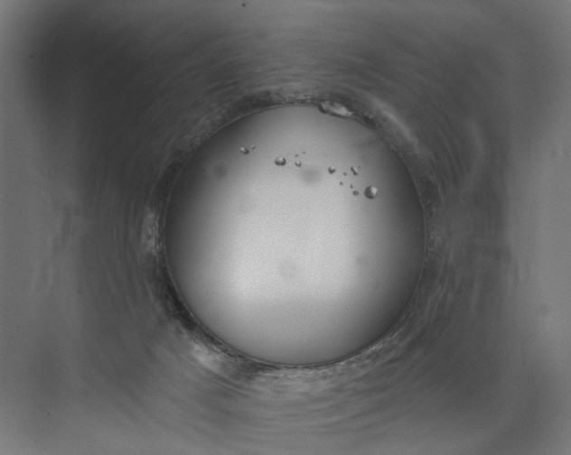 X0000073950025200609051804