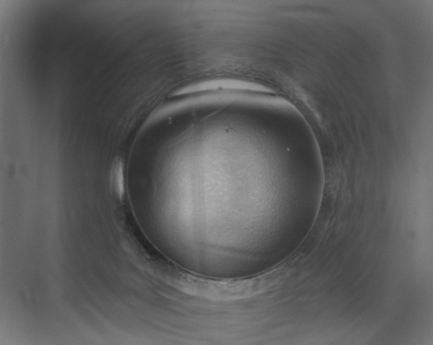 X0000073950027200609051804