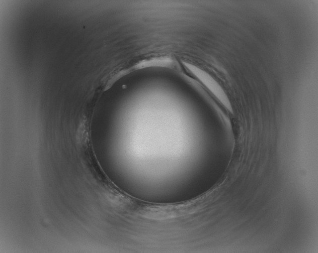 X0000073950029200609051804