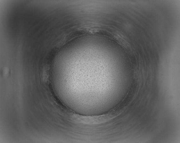 X0000073950030200609051804