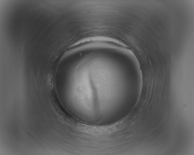 X0000073950031200609051804