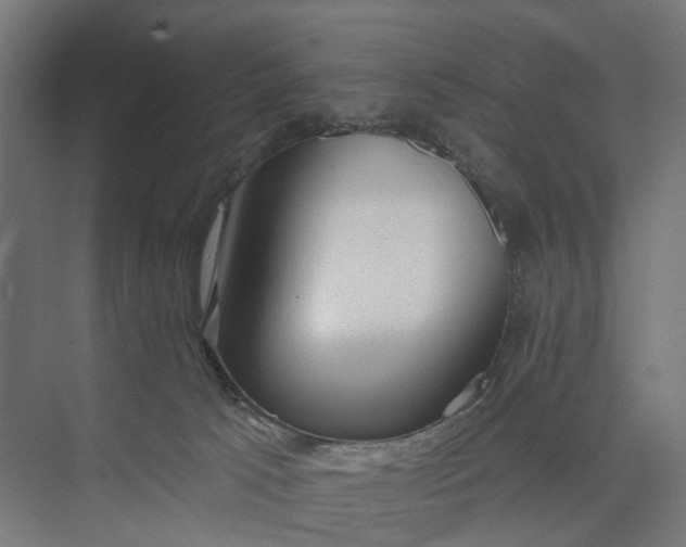 X0000073950033200609051804