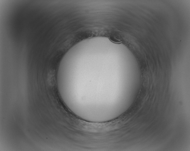 X0000073950034200609051804