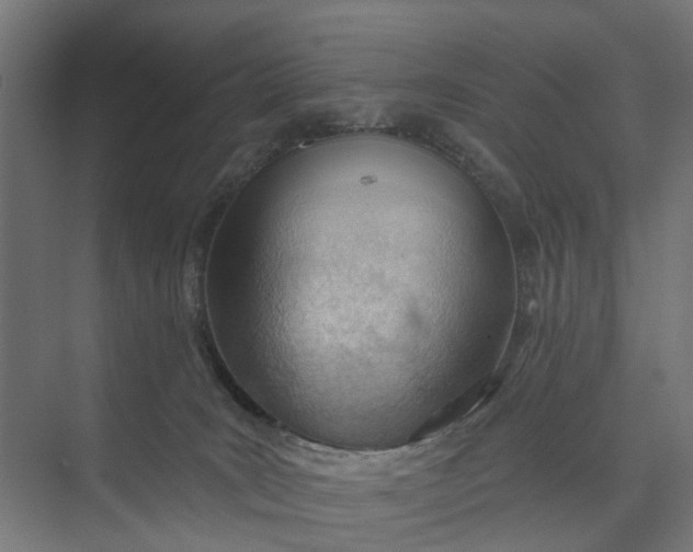 X0000073950035200609051804