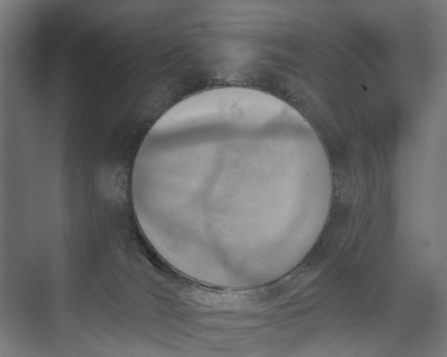 X0000073950036200609051804