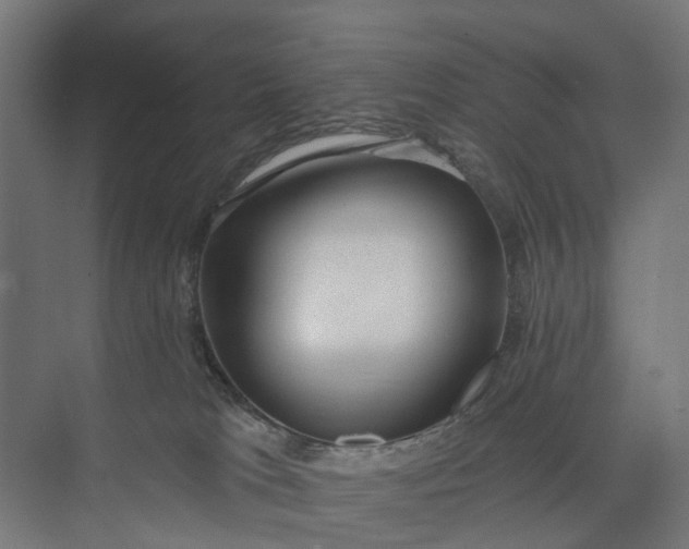 X0000073950037200609051804