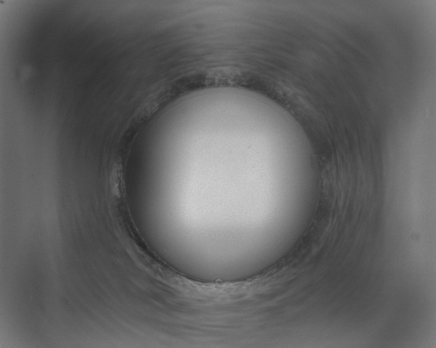 X0000073950038200609051804