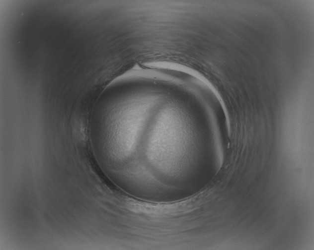 X0000073950039200609051804