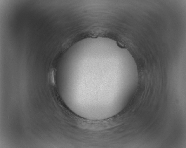 X0000073950042200609051804