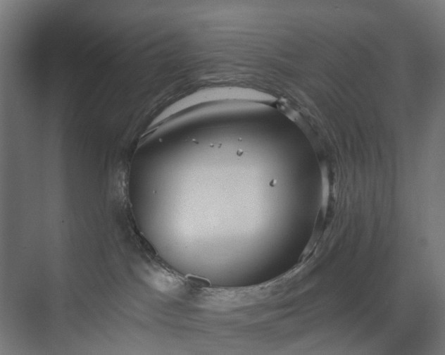 X0000073950045200609051804