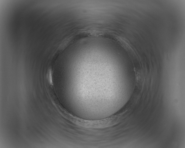 X0000073950046200609051804