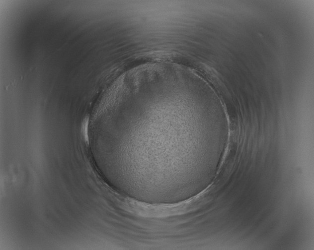 X0000073950047200609051804