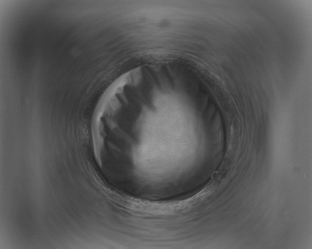 X0000073950048200609051804