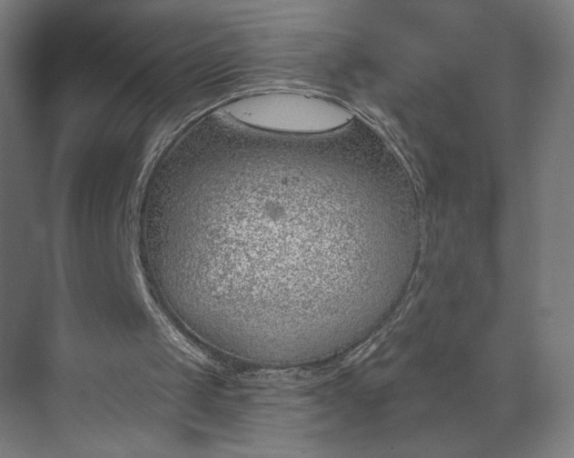 X0000073950049200609051803