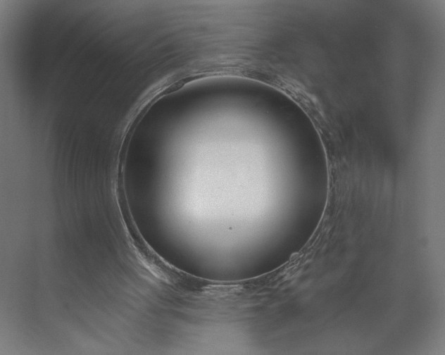 X0000073950051200609051803