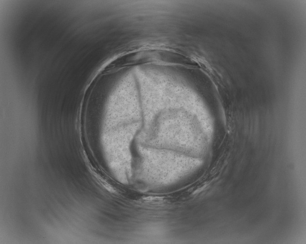 X0000073950052200609051803