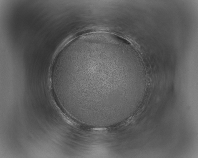 X0000073950053200609051803