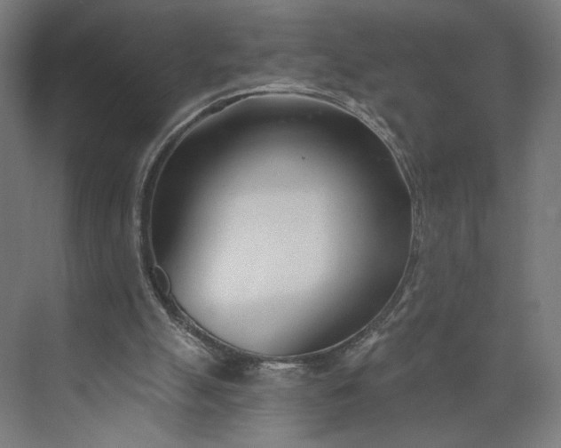 X0000073950055200609051803