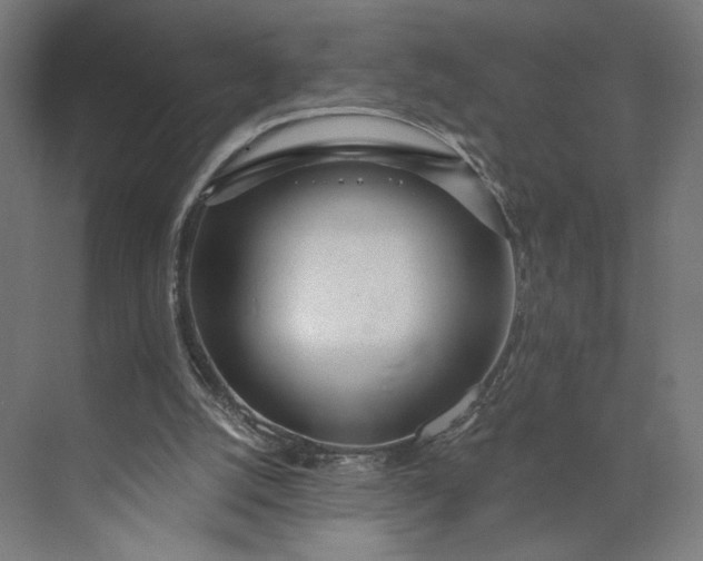 X0000073950056200609051803