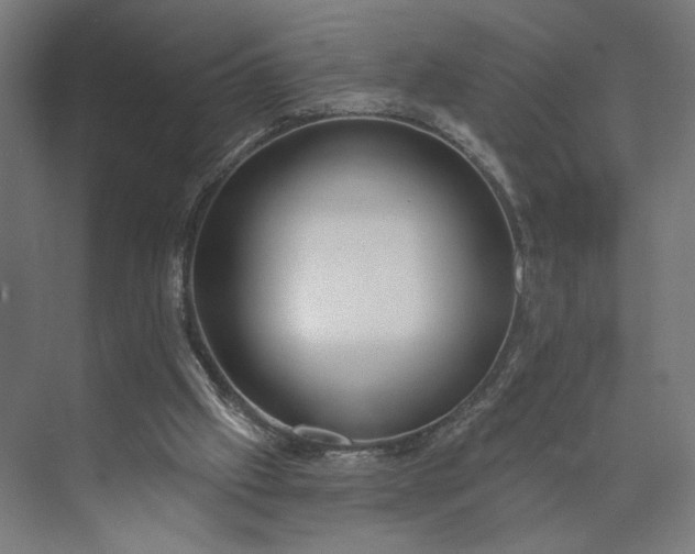 X0000073950057200609051803