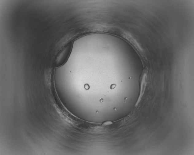 X0000073950058200609051803