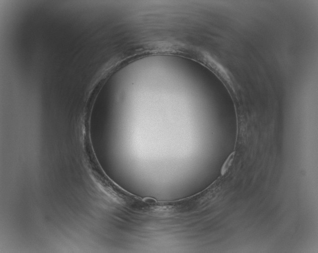 X0000073950059200609051803