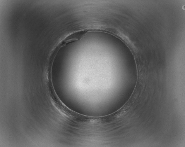 X0000073950060200609051803