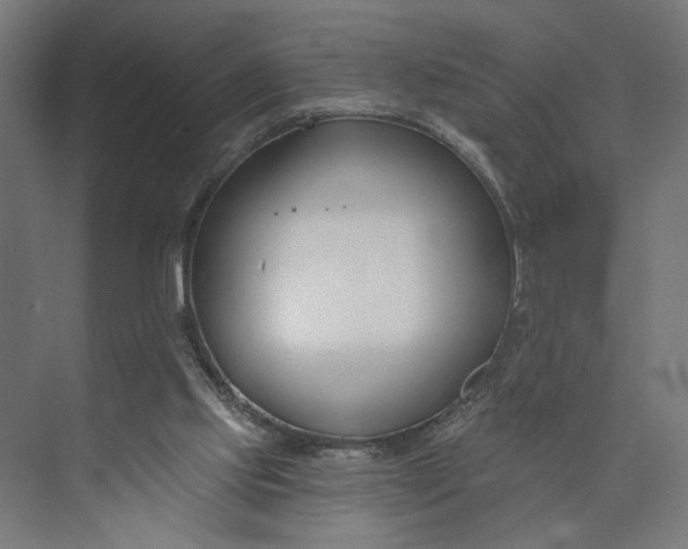 X0000073950061200609051803