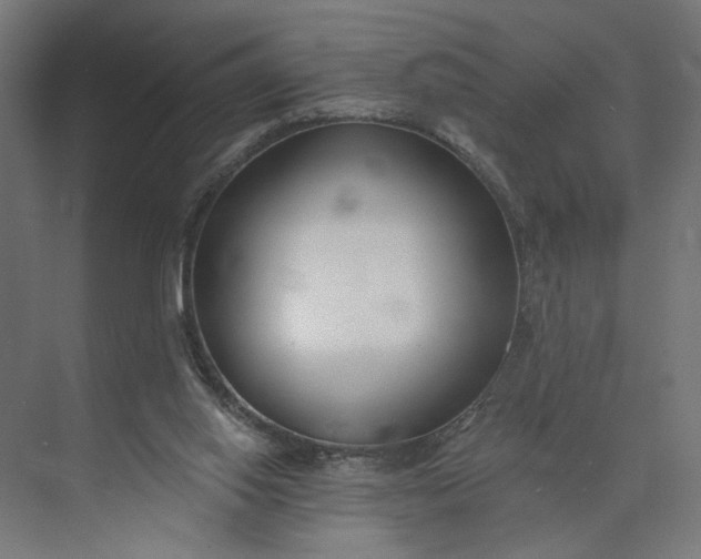 X0000073950062200609051803