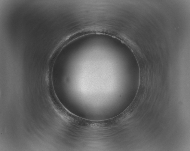 X0000073950064200609051803