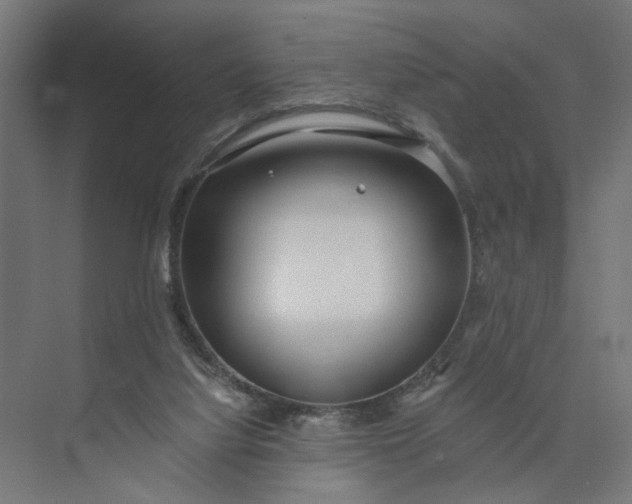 X0000073950068200609051803