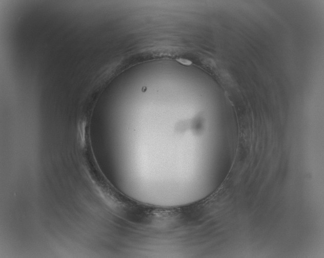 X0000073950070200609051803