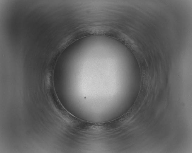 X0000073950071200609051803