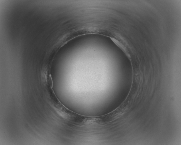 X0000073950072200609051803