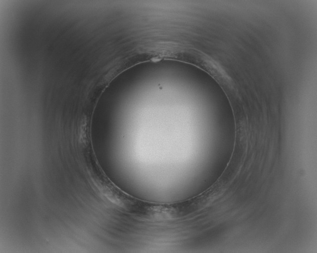 X0000073950073200609051803