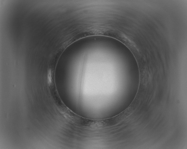 X0000073950075200609051803