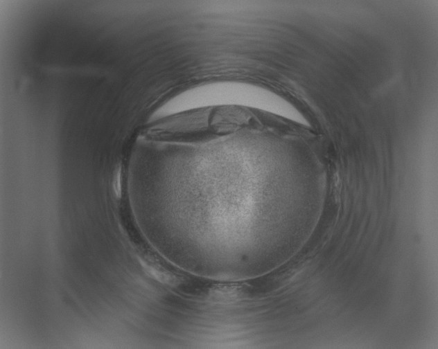 X0000073950076200609051804